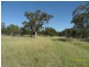 985 Sorrento Road, Dalveen, Dalveen QLD 4374