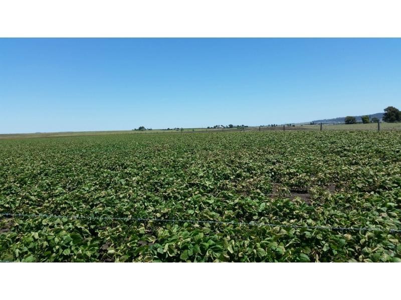 L43,44 Cutmore Road, Swan Creek QLD 4370