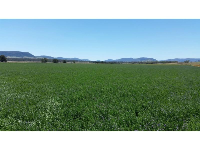 L43,44 Cutmore Road, Swan Creek QLD 4370