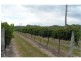 51 Ricca Road, Ballandean QLD 4382