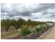 51 Ricca Road, Ballandean QLD 4382