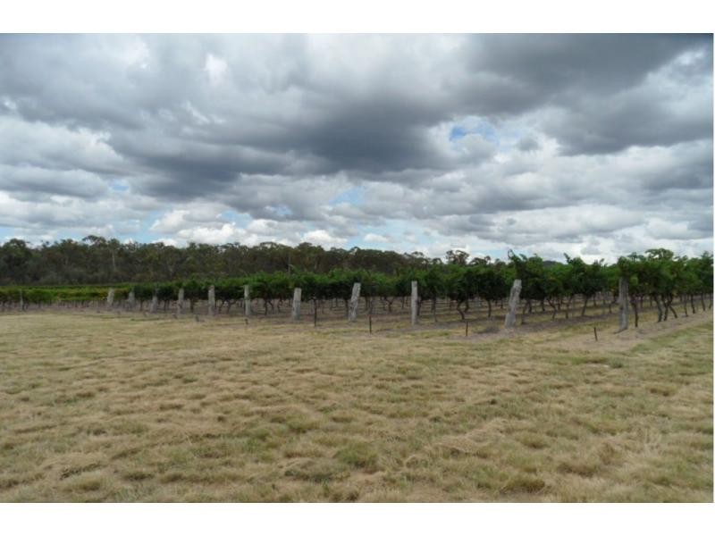 51 Ricca Road, Ballandean QLD 4382
