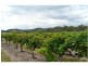 51 Ricca Road, Ballandean QLD 4382