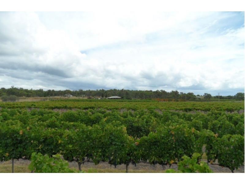 51 Ricca Road, Ballandean QLD 4382