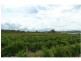 51 Ricca Road, Ballandean QLD 4382
