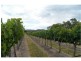 51 Ricca Road, Ballandean QLD 4382