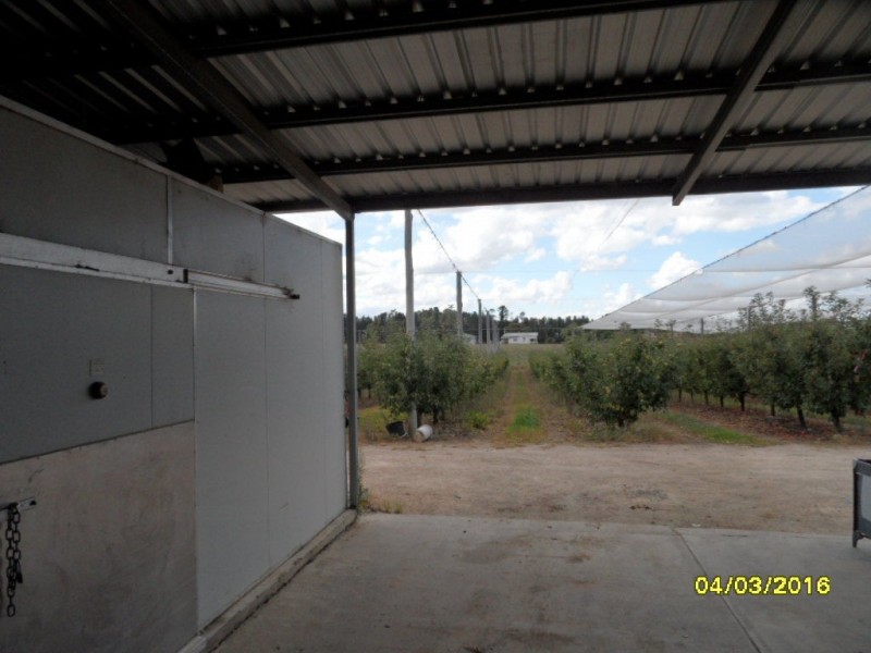 64 Reid Road, Severnlea QLD 4380