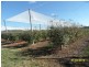 64 Reid Road, Severnlea QLD 4380