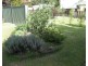 22 Minna Street, Stanthorpe QLD 4380