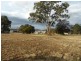 45 Bridge Street, Stanthorpe QLD 4380
