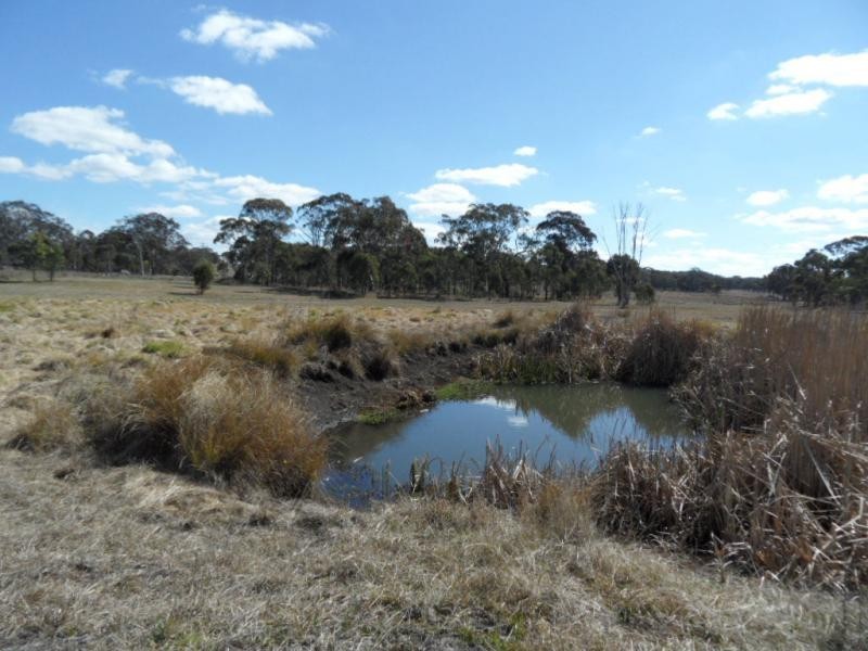 585 Sorrento Road, Dalveen, Dalveen QLD 4374