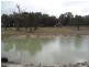 L5 McKechnie Road, Liston, Stanthorpe QLD 4380