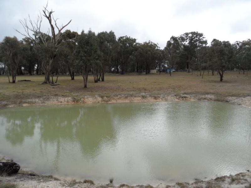 L5 McKechnie Road, Liston, Stanthorpe QLD 4380