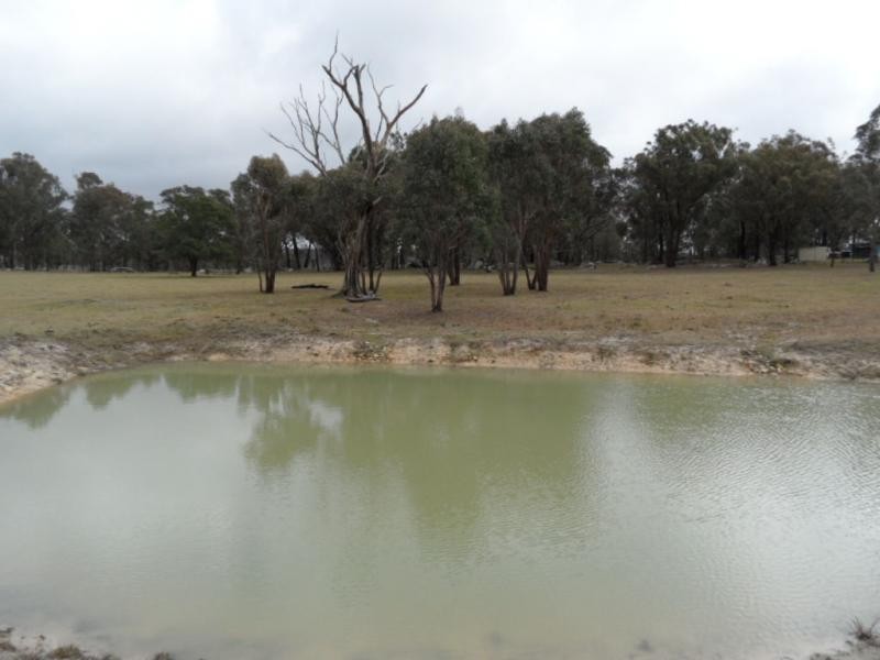 L5 McKechnie Road, Liston, Stanthorpe QLD 4380