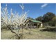 113 Pegum Road, Applethorpe, Stanthorpe QLD 4380