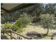 113 Pegum Road, Applethorpe, Stanthorpe QLD 4380