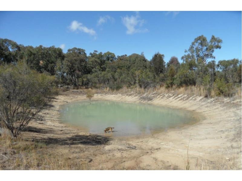 113 Pegum Road, Applethorpe, Stanthorpe QLD 4380