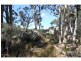 113 Pegum Road, Applethorpe, Stanthorpe QLD 4380