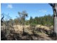 113 Pegum Road, Applethorpe, Stanthorpe QLD 4380