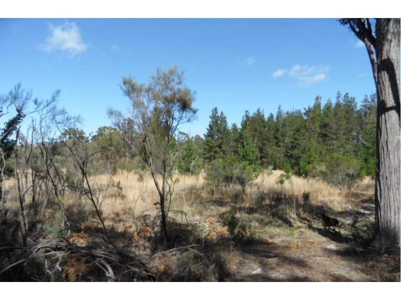 113 Pegum Road, Applethorpe, Stanthorpe QLD 4380