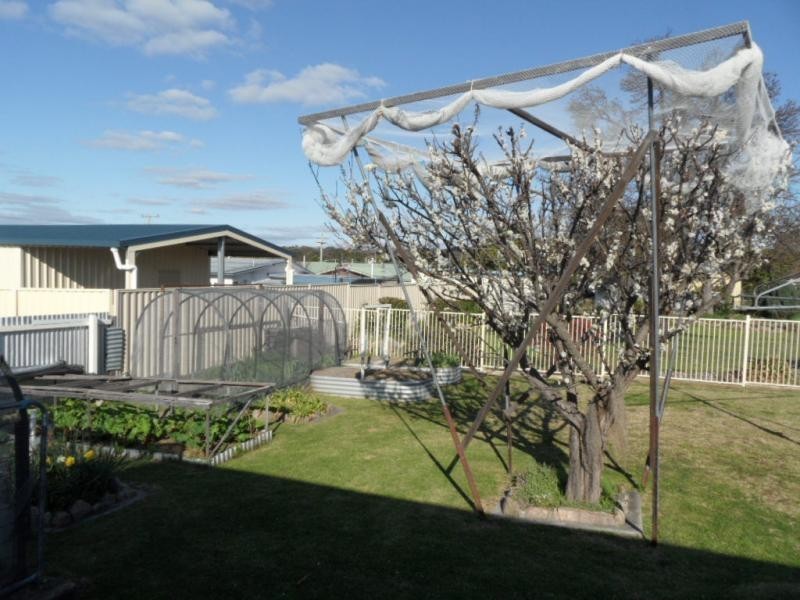 26 Pierpoint Street, Stanthorpe, Stanthorpe QLD 4380