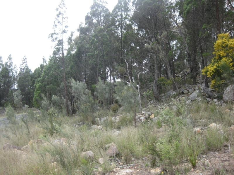 5A Minna Street, Stanthorpe QLD 4380