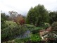113 Mt Stirling Road, Glen Aplin, Stanthorpe QLD 4380