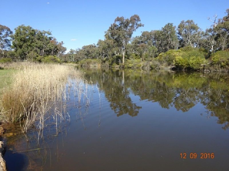 113 Mt Stirling Road, Glen Aplin, Stanthorpe QLD 4380