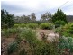 113 Mt Stirling Road, Glen Aplin, Stanthorpe QLD 4380