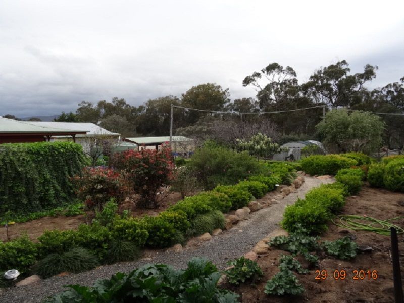 113 Mt Stirling Road, Glen Aplin, Stanthorpe QLD 4380