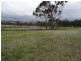 113 Mt Stirling Road, Glen Aplin, Stanthorpe QLD 4380