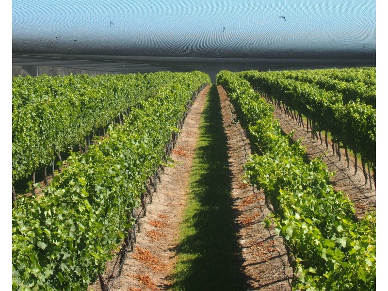 Lot 331 Bradley Lane, Stanthorpe QLD 4380