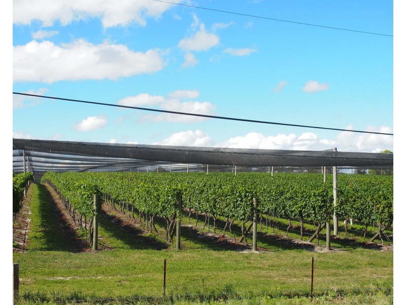 Lot 331 Bradley Lane, Stanthorpe QLD 4380