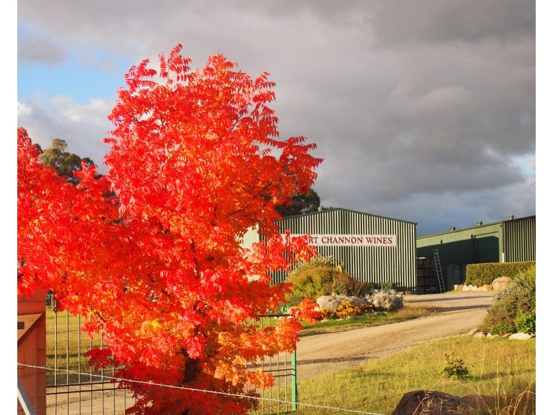 Lot 331 Bradley Lane, Stanthorpe QLD 4380