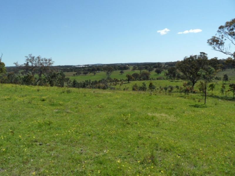221 Border Gate Road, Cottonvale, Stanthorpe QLD 4380