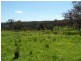 221 Border Gate Road, Cottonvale, Stanthorpe QLD 4380
