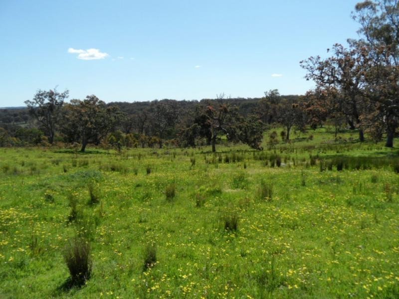 221 Border Gate Road, Cottonvale, Stanthorpe QLD 4380
