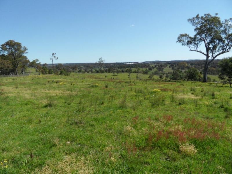 221 Border Gate Road, Cottonvale, Stanthorpe QLD 4380