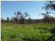 221 Border Gate Road, Cottonvale, Stanthorpe QLD 4380
