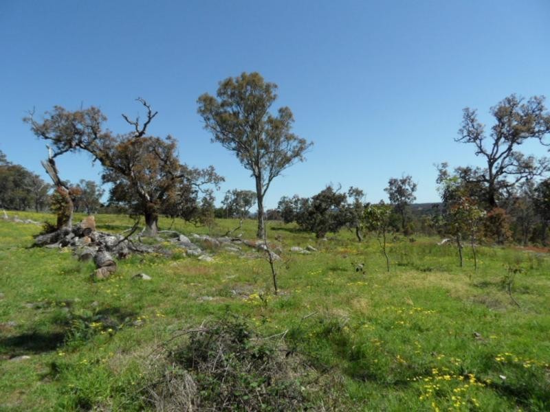 221 Border Gate Road, Cottonvale, Stanthorpe QLD 4380