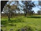 221 Border Gate Road, Cottonvale, Stanthorpe QLD 4380