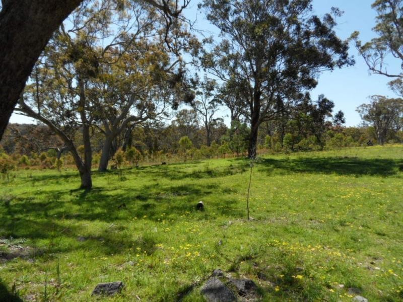 221 Border Gate Road, Cottonvale, Stanthorpe QLD 4380