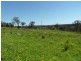 221 Border Gate Road, Cottonvale, Stanthorpe QLD 4380
