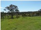 221 Border Gate Road, Cottonvale, Stanthorpe QLD 4380