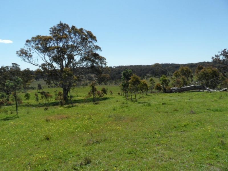 221 Border Gate Road, Cottonvale, Stanthorpe QLD 4380