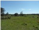 221 Border Gate Road, Cottonvale, Stanthorpe QLD 4380