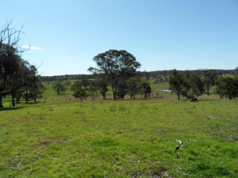 221 Border Gate Road, Cottonvale, Stanthorpe QLD 4380