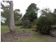 L2 Pine Crescent, Dalveen, Dalveen QLD 4374