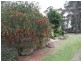 L2 Pine Crescent, Dalveen, Dalveen QLD 4374