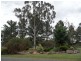 L2 Pine Crescent, Dalveen, Dalveen QLD 4374